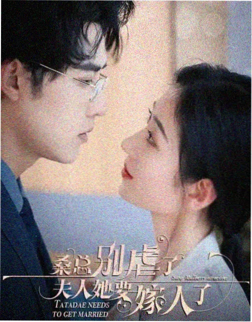 归途的姐姐 剧集在线观看