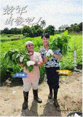 姐姐们的城市地图 综艺在线观看